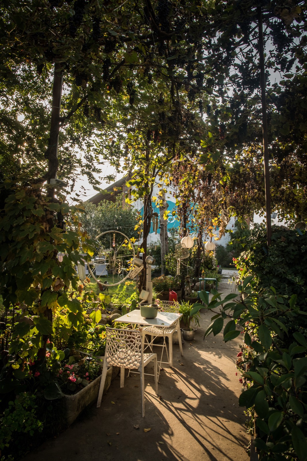 Sentiero del giardino con tavolino e luce filtrata tra le foglie