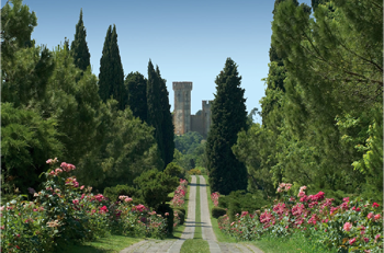 Le fioriture e i giardini del Parco Giardino Sigurtà a Valeggio sul Mincio