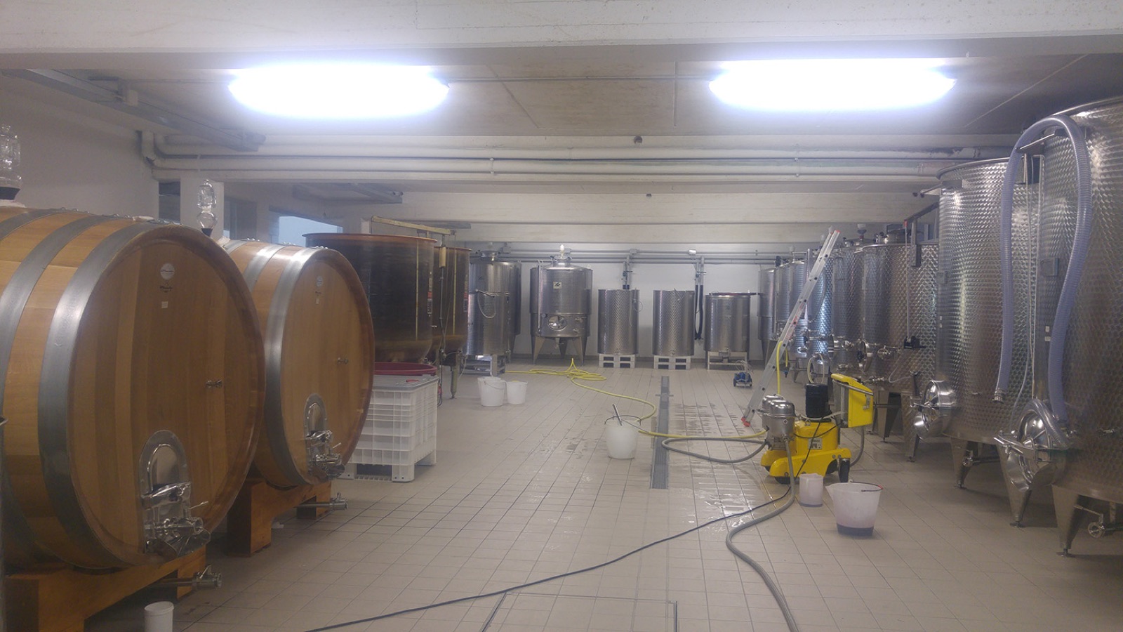 Le botti di legno e i tini d'acciaio nella cantina Manaresi