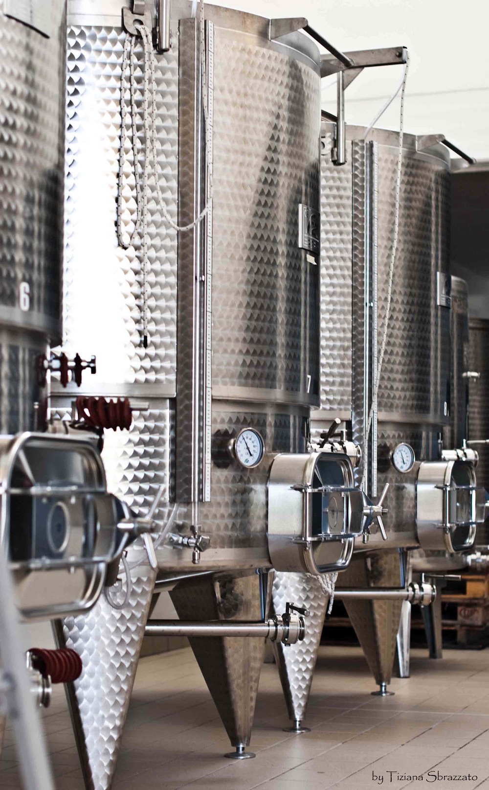 I tini d'acciaio della cantina moderna