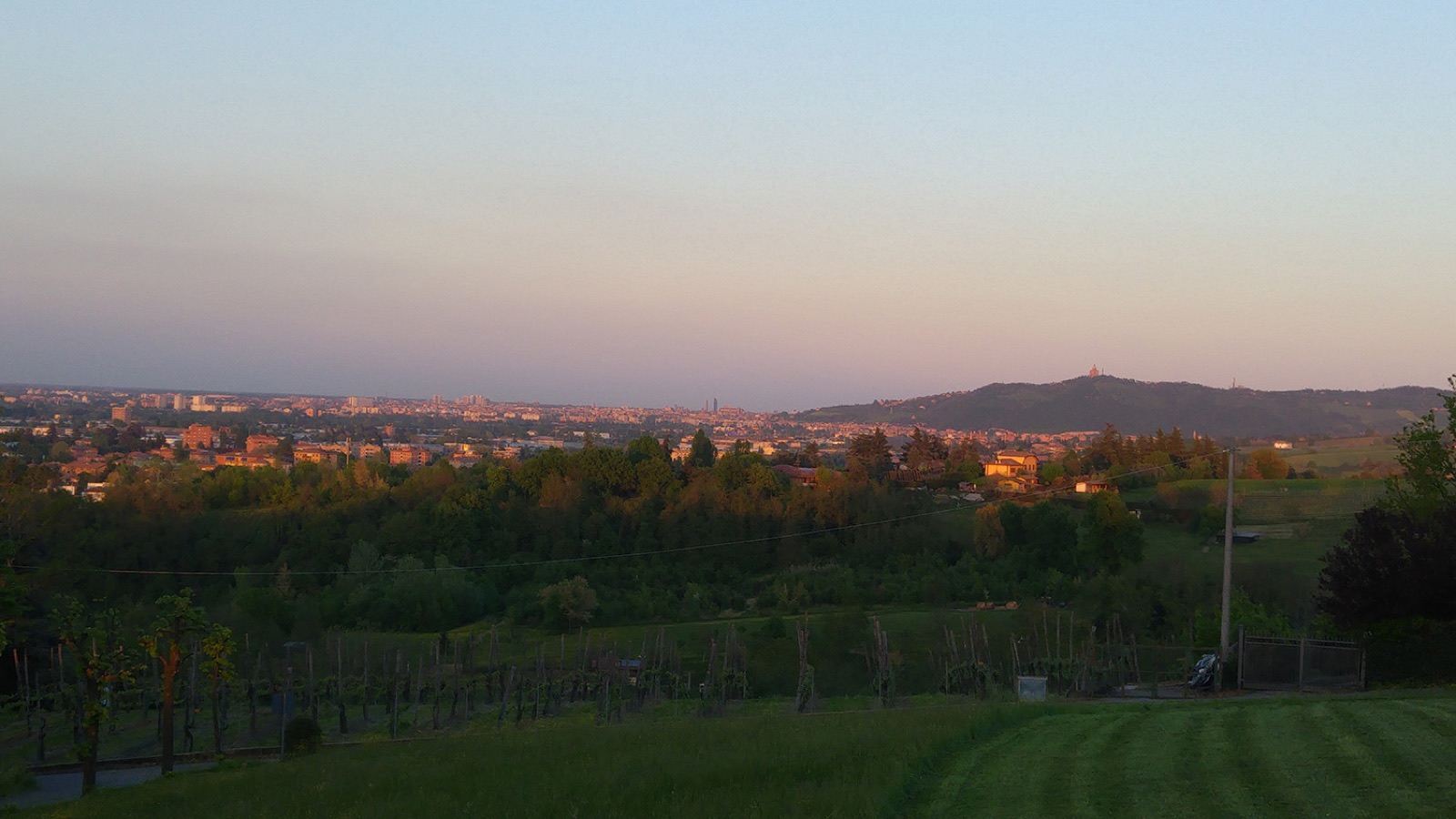 Vigneti sulla collina Bella Vista con vista su San Luca e Bologna al tramonto