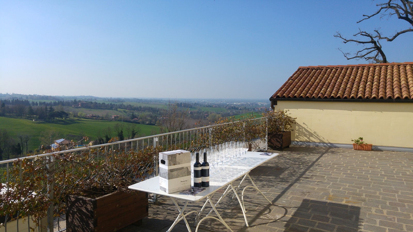 La terrazza panoramica con i calici pronti per la degustazione, affacciata sulla pianura