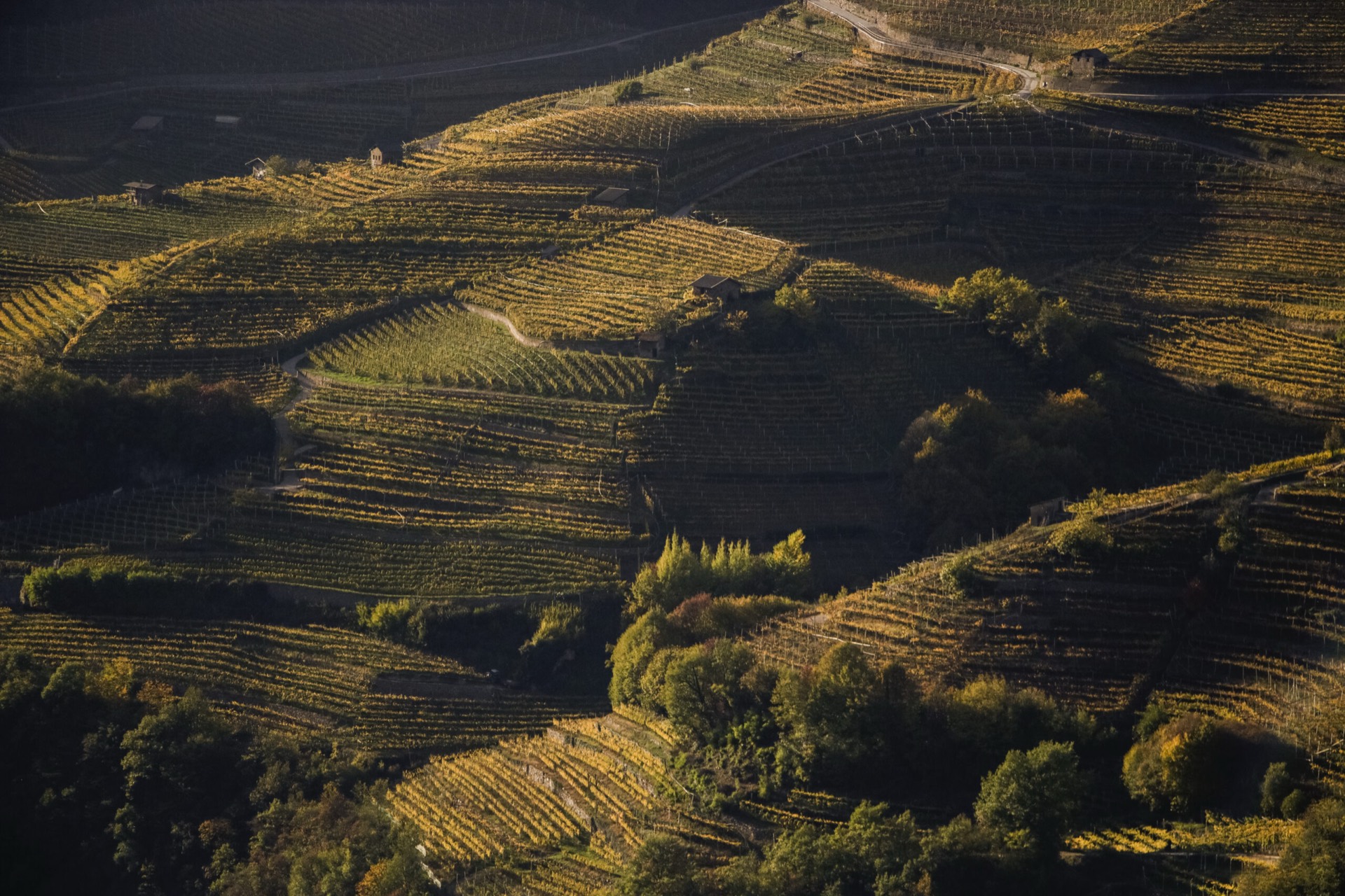 La Val di Cembra vista dai vigneti